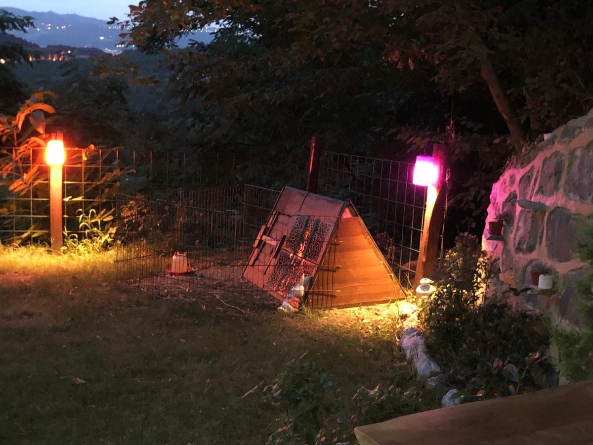 Dag Evi ,2 Oda, Lake View, Fireplace Jakuzi,6 Person Sapanca Eksteriør billede